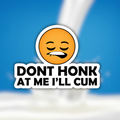 DONT HONK STICKER