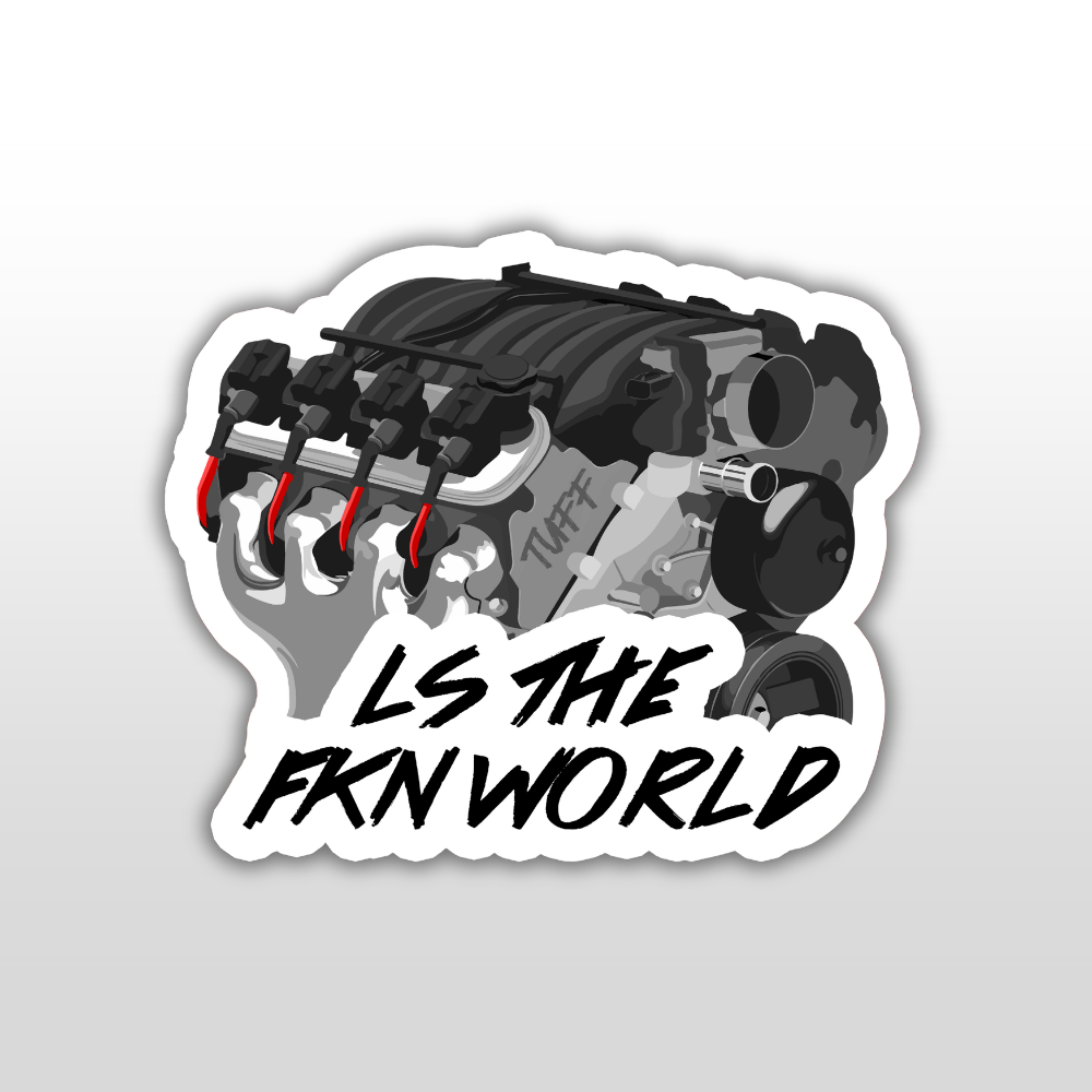 LS THE WORLD STICKER