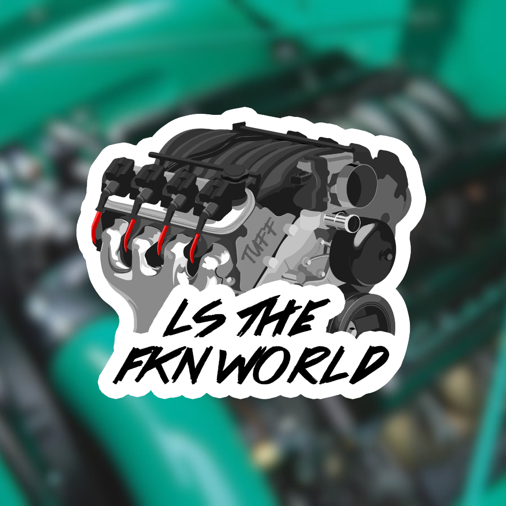 LS THE WORLD STICKER